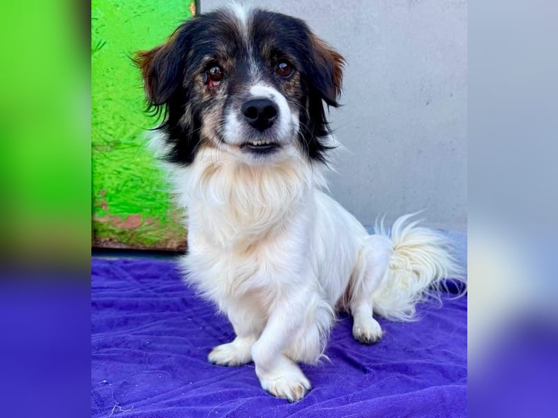 Rocky, kleines Männlein sucht seine Familie