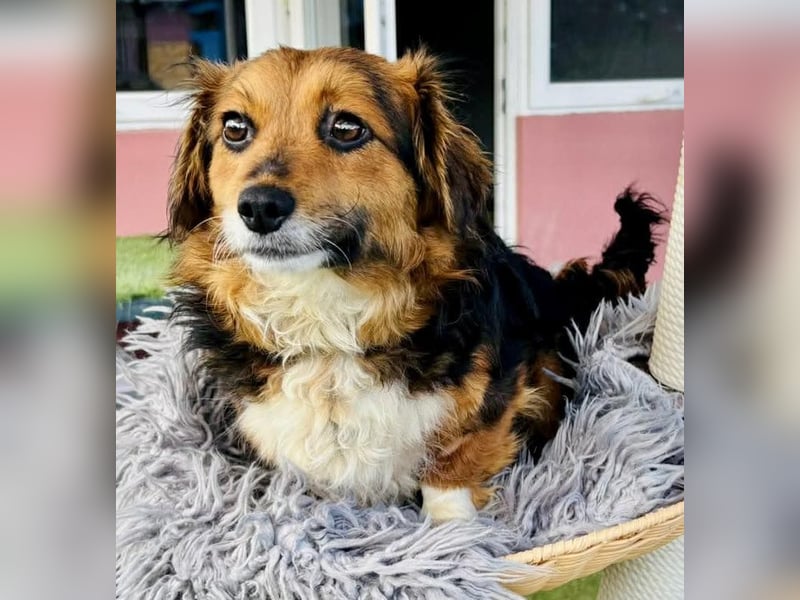 Mini Knutschkugel Kessie