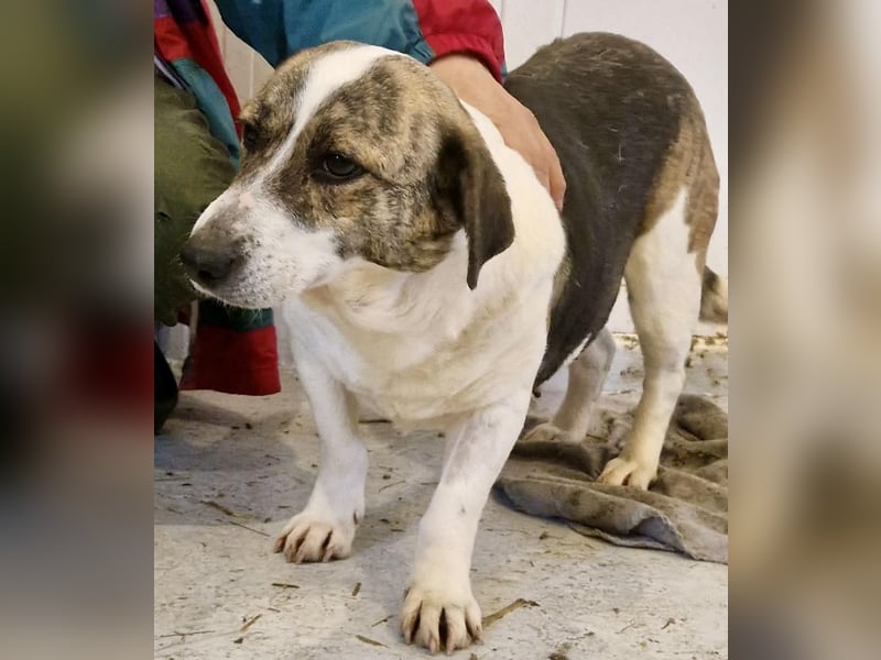 Super freundliche, kleine LUISA