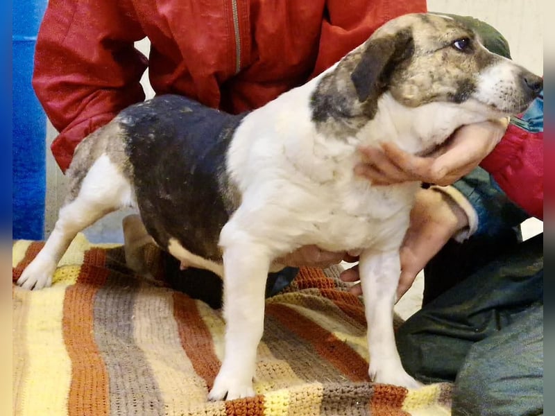 Super freundliche, kleine LUISA