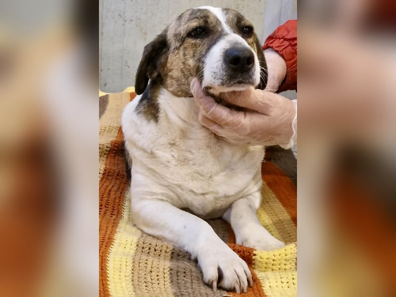 Super freundliche, kleine LUISA