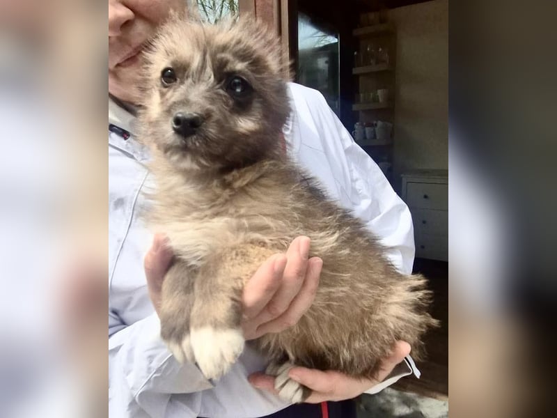 Jury sucht seine Menschen