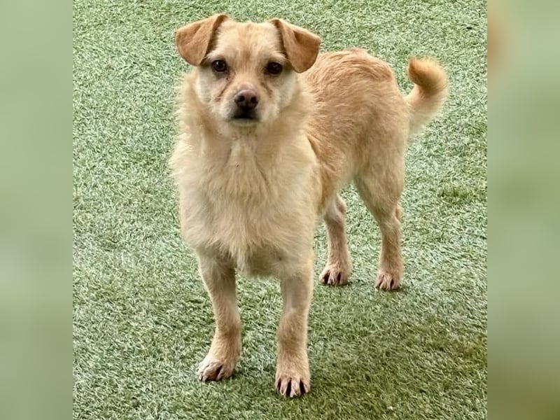 Kleines, zartes Männlein Justus