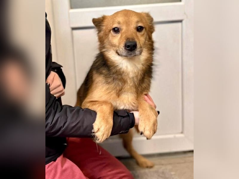 Bildhübscher Schatz Nico