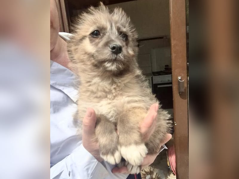 Jury sucht seine Menschen