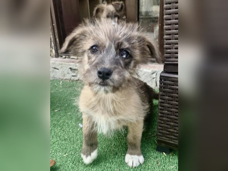 Jury sucht seine Menschen