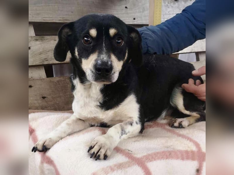 Nando hat alles verloren