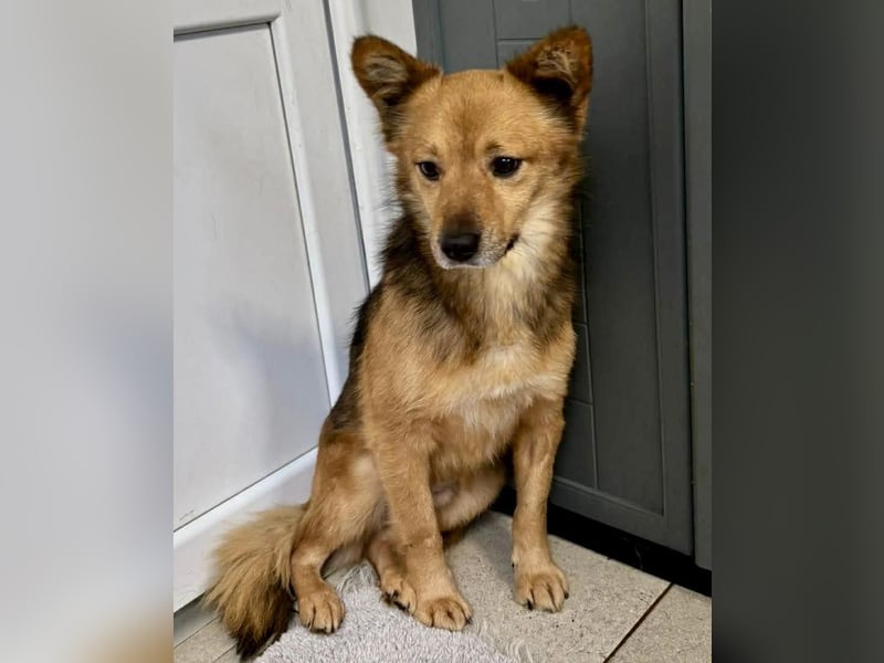 Bildhübscher Schatz Nico