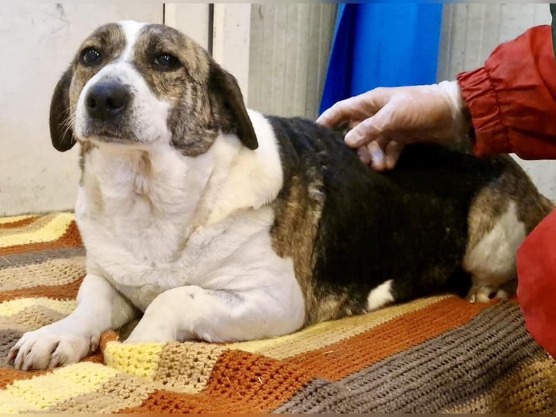 Super freundliche, kleine LUISA