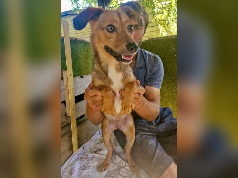 Souly, kleine Kämpferin sucht ihr Glück