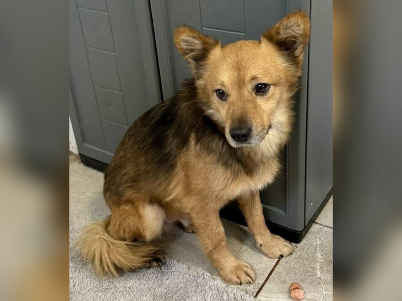 Bildhübscher Schatz Nico