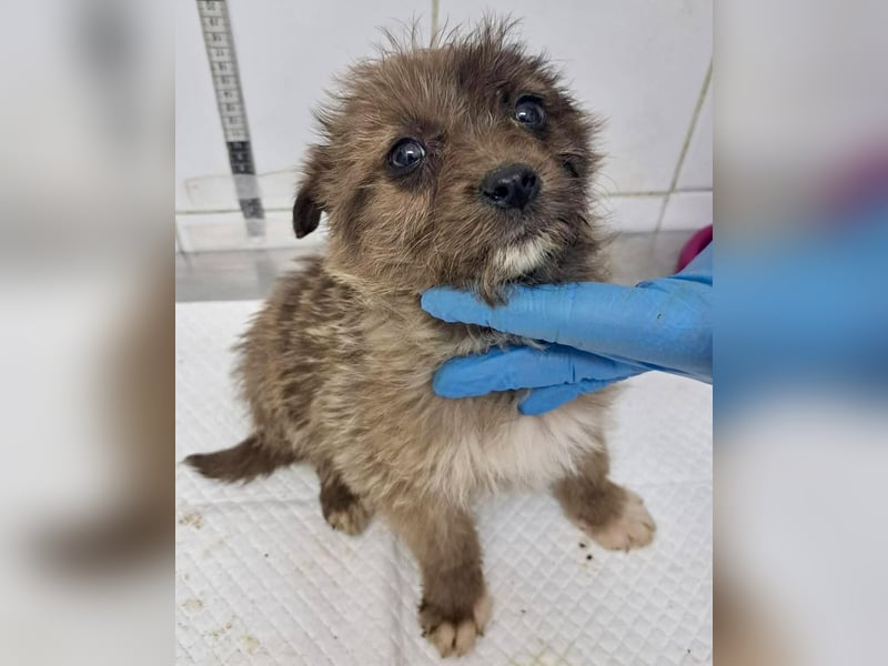 Jury sucht seine Menschen