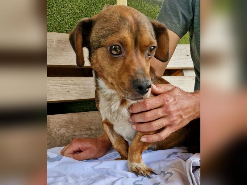 Mogli, kleines Männlein sucht seine Familie