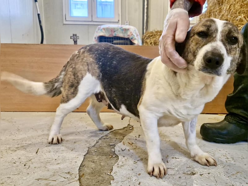 Super freundliche, kleine LUISA