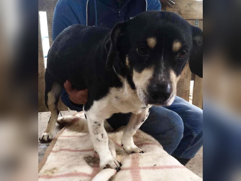 Nando hat alles verloren