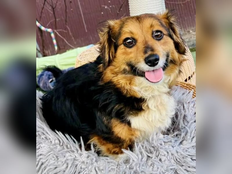 Mini Knutschkugel Kessie