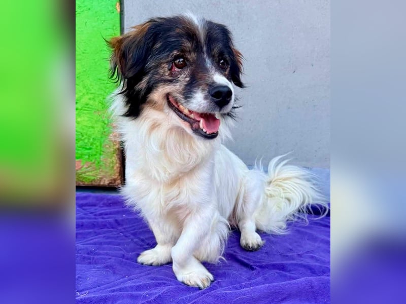 Rocky, kleines Männlein sucht seine Familie