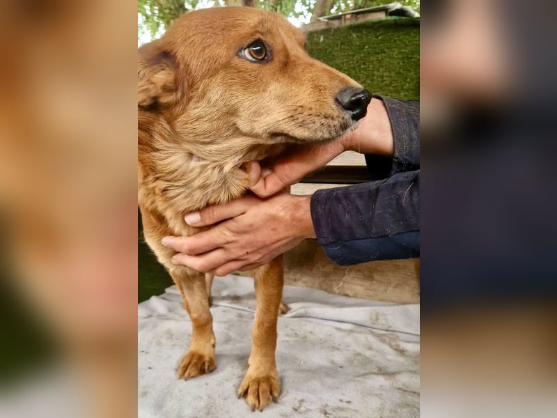 Josie möchte endlich leben