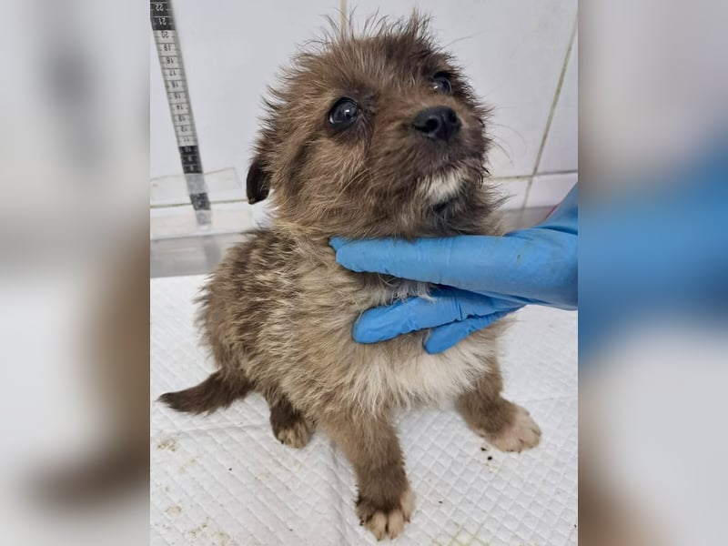 Jury sucht seine Menschen