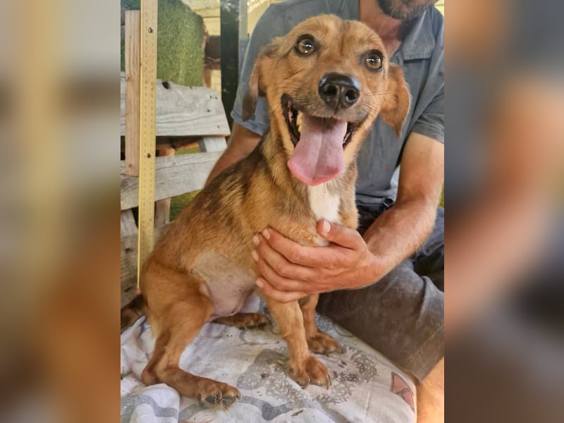 Souly, kleine Kämpferin sucht ihr Glück