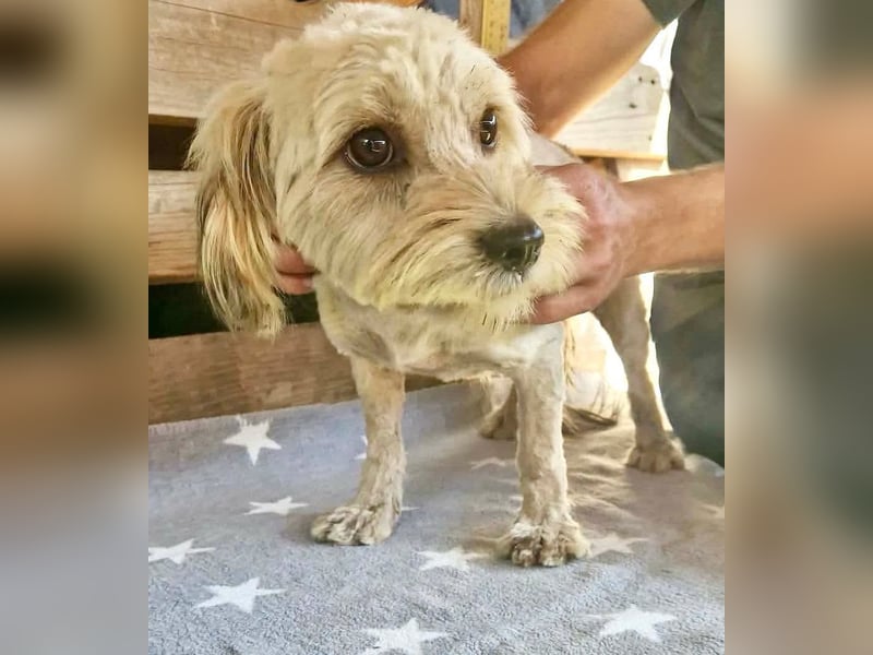 Milla möchte endlich geborgen sein