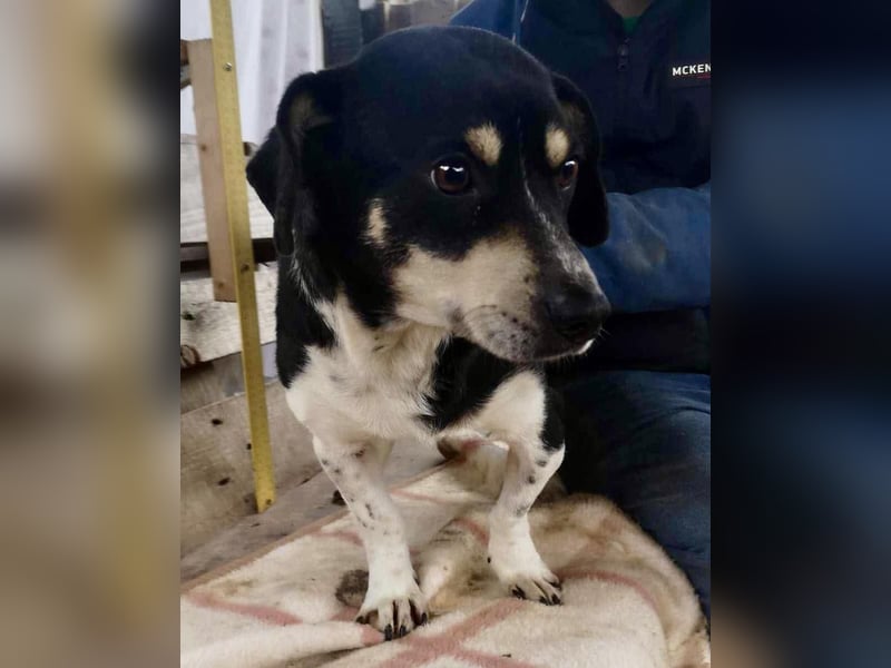 Nando hat alles verloren