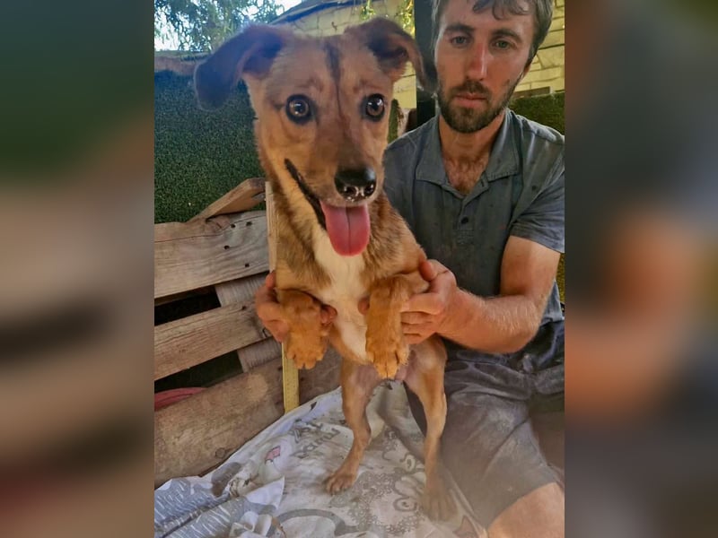 Souly, kleine Kämpferin sucht ihr Glück