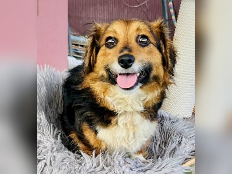 Mini Knutschkugel Kessie