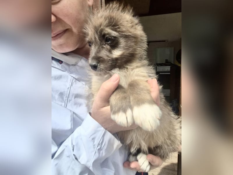 Jury sucht seine Menschen