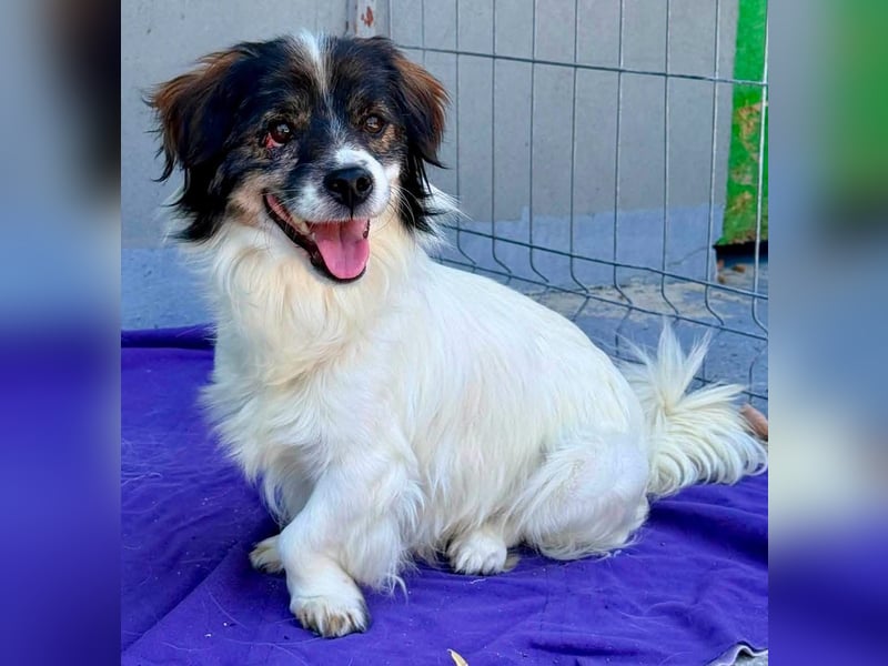 Rocky, kleines Männlein sucht seine Familie