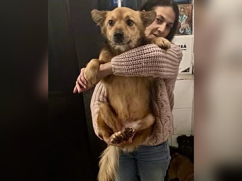 Bildhübscher Schatz Nico