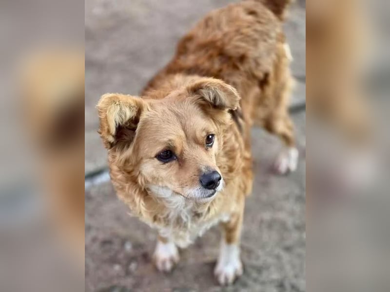 Liebe, kleine Schmusemaus Maya