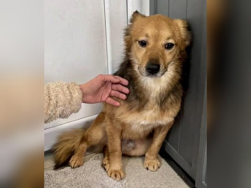 Bildhübscher Schatz Nico