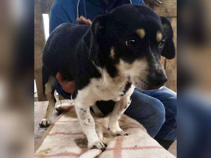 Nando hat alles verloren