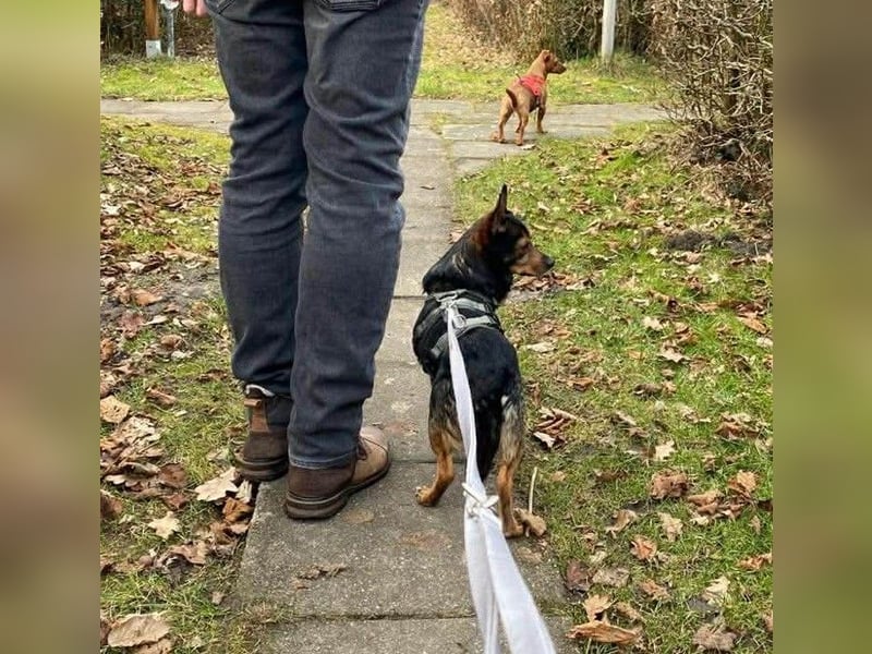 Jerry: Befreit von der Kette, bereit für die Liebe