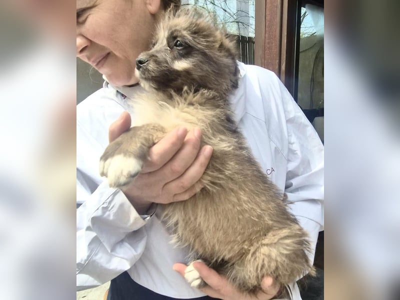 Jury sucht seine Menschen