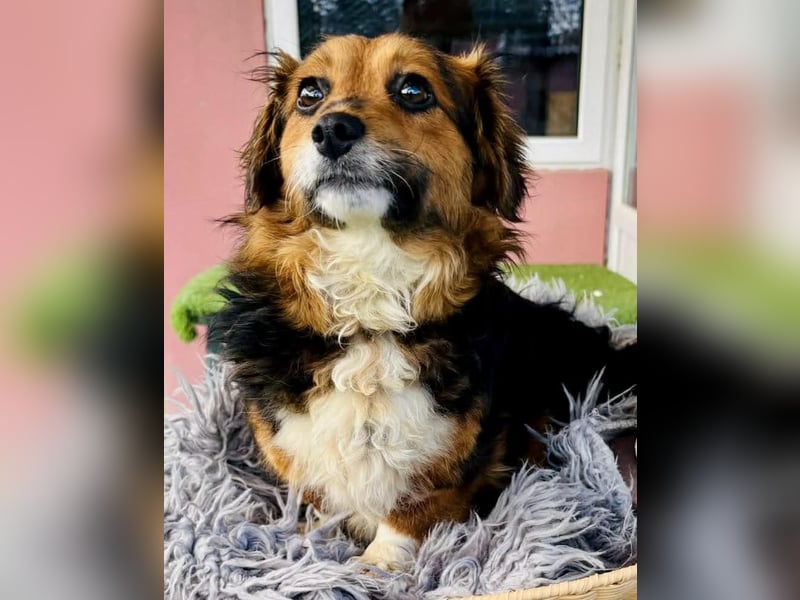 Mini Knutschkugel Kessie