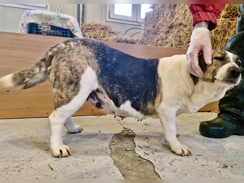 Super freundliche, kleine LUISA