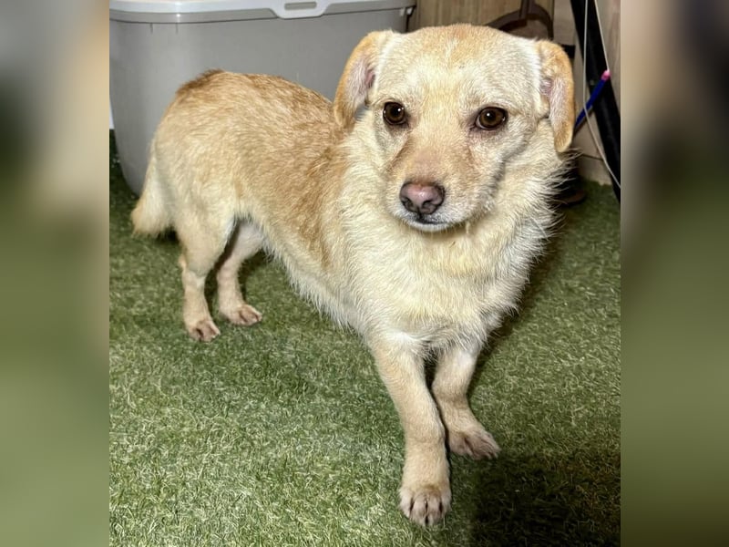 Kleines, zartes Männlein Justus