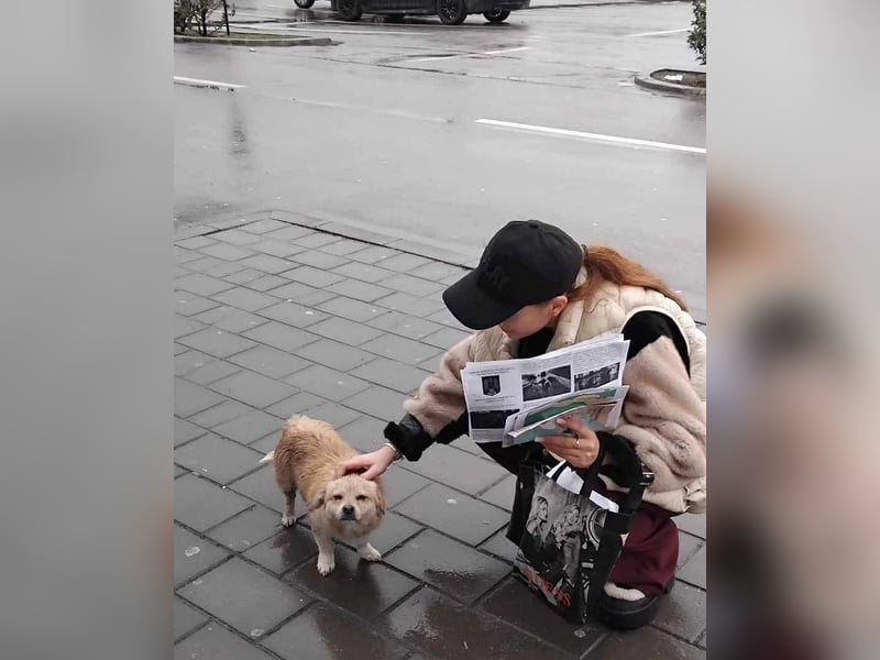 Katzenverträgliches Mini Männlein Capper