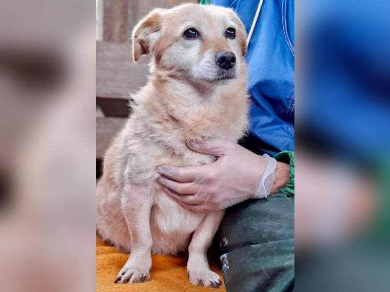 Kleiner Noah sucht liebevolles Zuhause