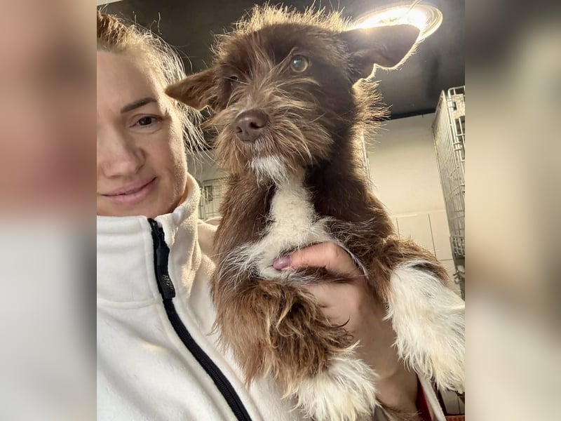 Schokomäuschen PENNY…