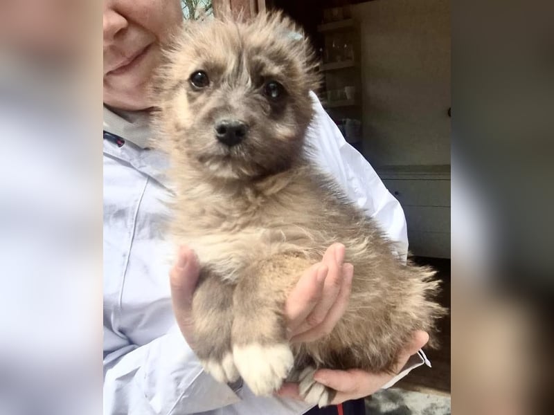 Jury sucht seine Menschen