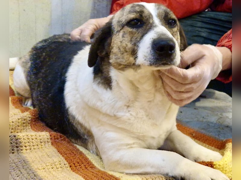 Super freundliche, kleine LUISA