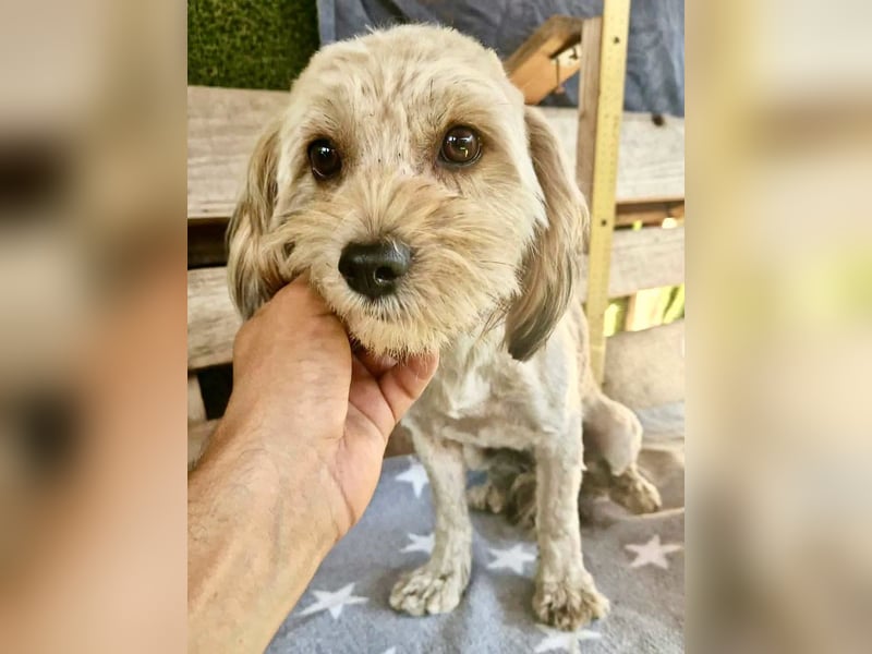 Milla möchte endlich geborgen sein