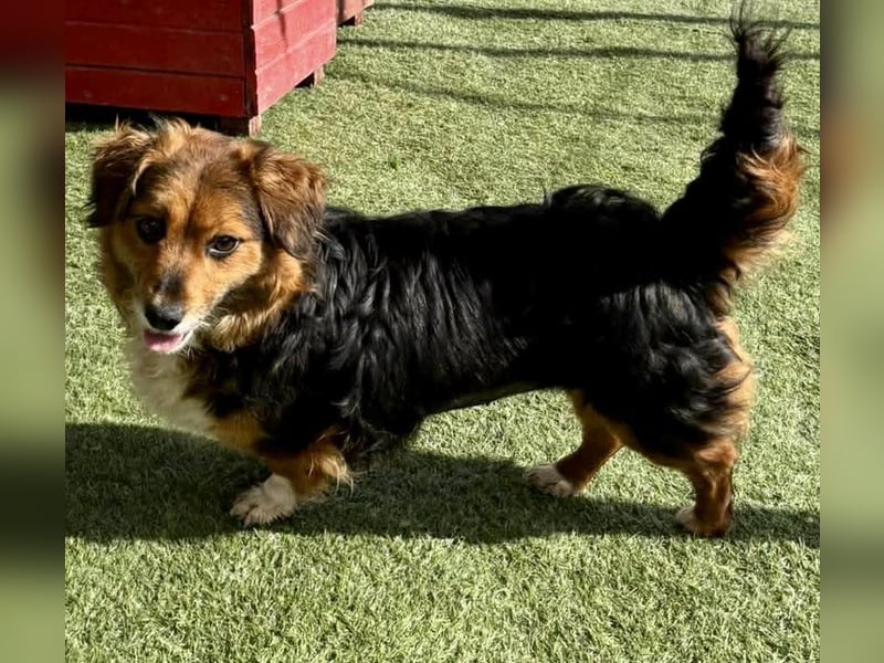 Mini Knutschkugel Kessie