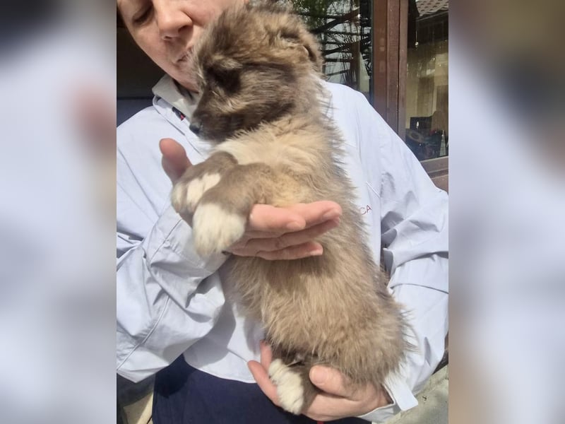 Jury sucht seine Menschen