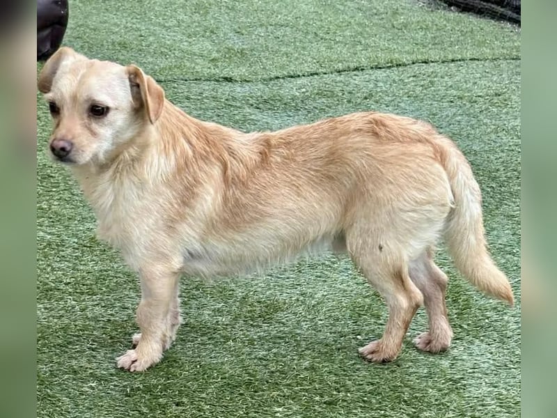 Kleines, zartes Männlein Justus