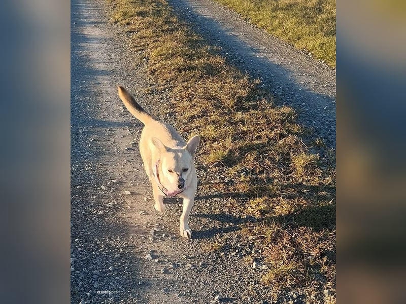 Kleine tapfere Bianca sucht ihre Familie
