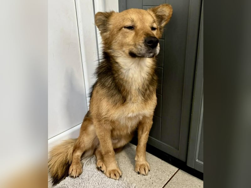 Bildhübscher Schatz Nico